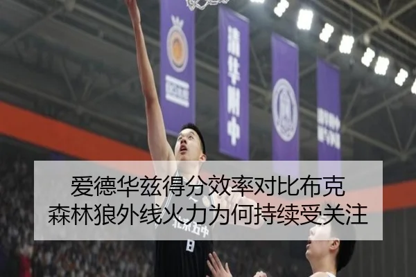 爱德华兹得分效率对比布克 森林狼外线火力为何持续受关注